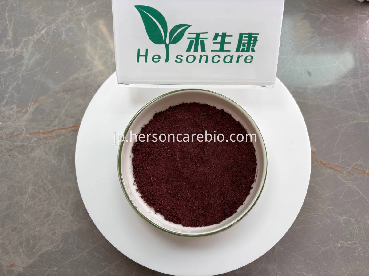 乾燥ブルーベリーパウダーをフリーズします Freeze Dried Blueberry Powder Close-up